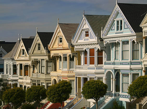 Painted Ladies stock photo