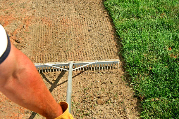 laying sod stock photo