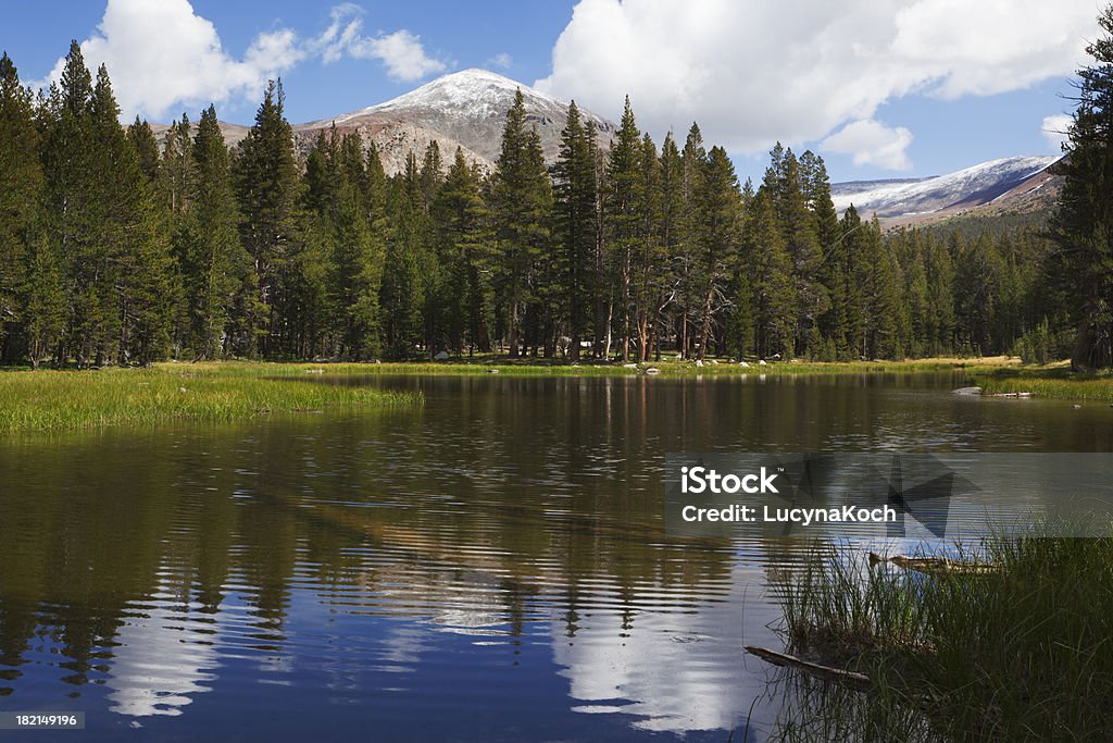 Idyllischen See im Tioga Pass - Lizenzfrei Amerikanische Sierra Nevada Stock-Foto