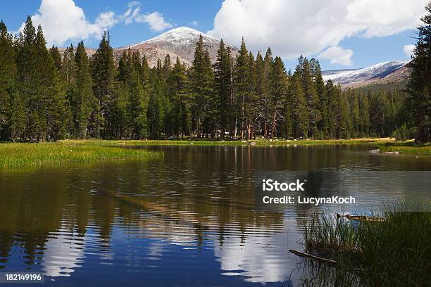 Idyllischen See Im Tioga Pass Stockfoto und mehr Bilder von Amerikanische Sierra Nevada - Amerikanische Sierra Nevada, Baum, Berg