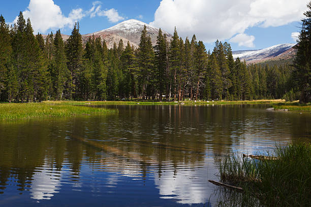 istock Idyllic lake at Tioga Pass 182149196