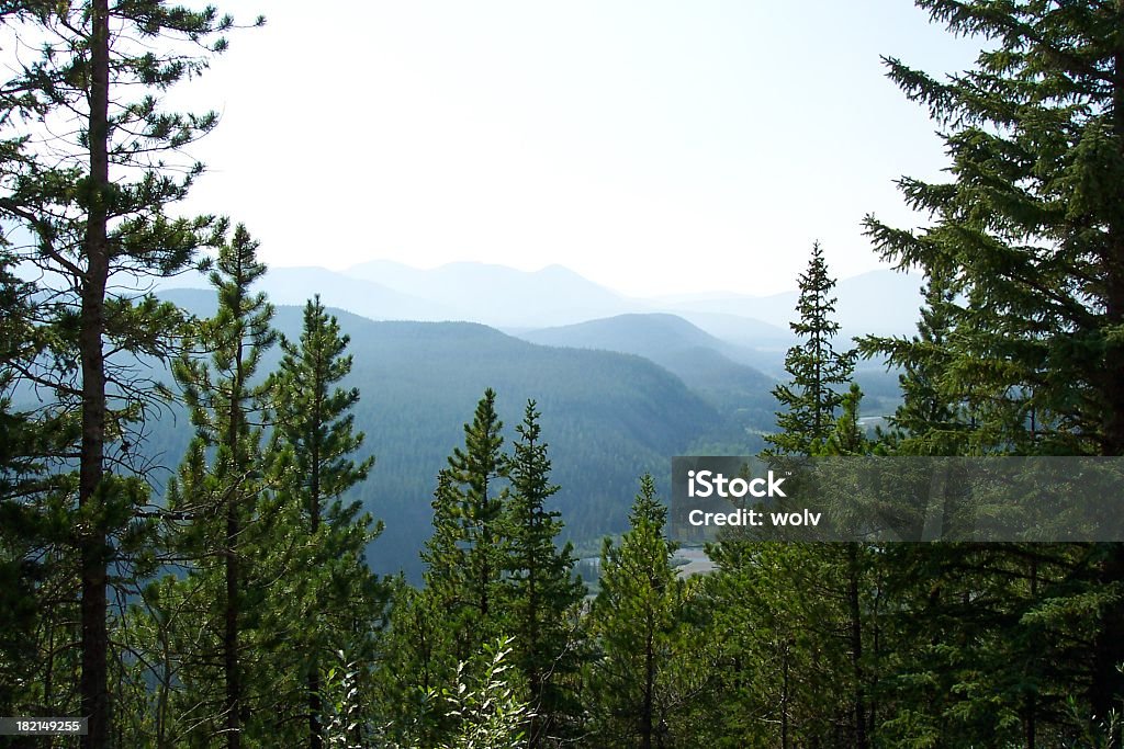 Beautiful mountain landscape surrounded by fog and trees Smoke shrouded mountains caused from a nearby forest fire in the foothills of Alberta Canada. Alberta Stock Photo