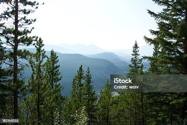 Beautiful Mountain Landscape Surrounded By Fog And Trees Stock Photo - Download Image Now