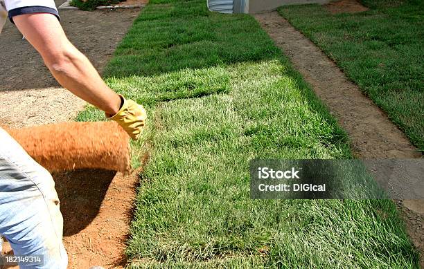 Foto de Paisagem Gramanatal e mais fotos de stock de Jardim particular - Jardim particular, Instalar, Espaço para Texto