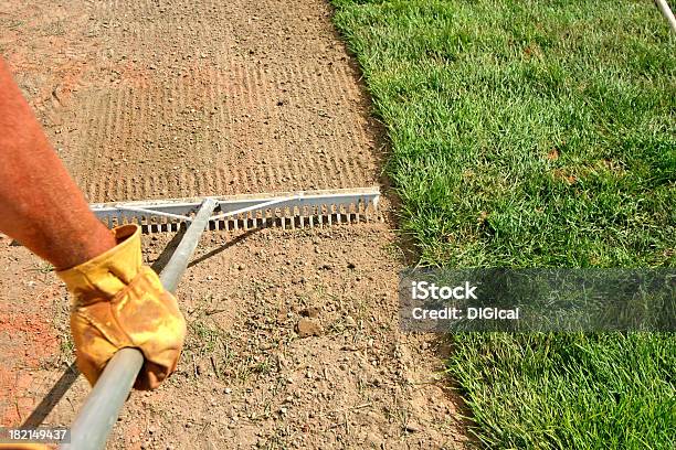 Photo libre de droit de Paysagisteponte De Gazon Et Herbe banque d'images et plus d'images libres de droit de Affaires - Affaires, Couleur verte, Gant de jardinage