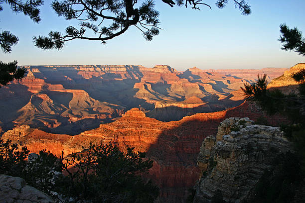 istock The golden canyon 182149811