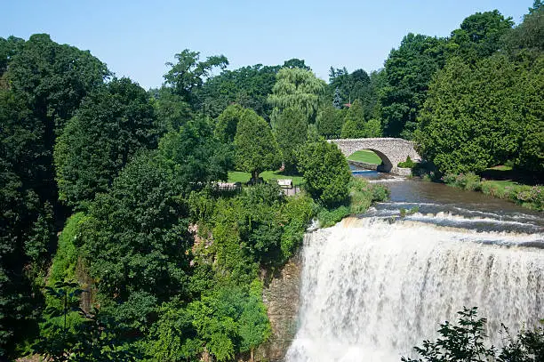 "An overview of Webster Waterfall in Hamilton, Ontario surrounded by green lush foliage in the summer months."