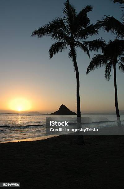 Foto de Nascer Do Sol Tropical e mais fotos de stock de Amarelo - Amarelo, Areia, Azul