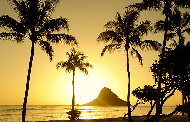 istock Golden Island Sunrise 182150011