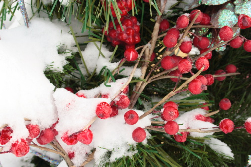 Berries and garland in snow