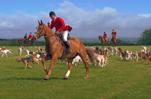 Fox hunters and hounds in the English countryside