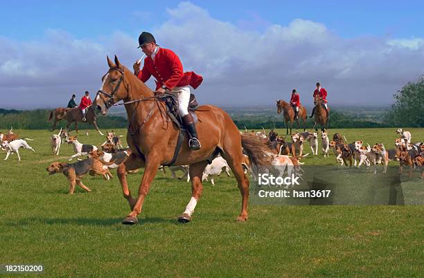 Foto de Caçadores E Hounds e mais fotos de stock de Caça à Raposa - Caça à Raposa, Caça, Cão de Caça - Raça Pura