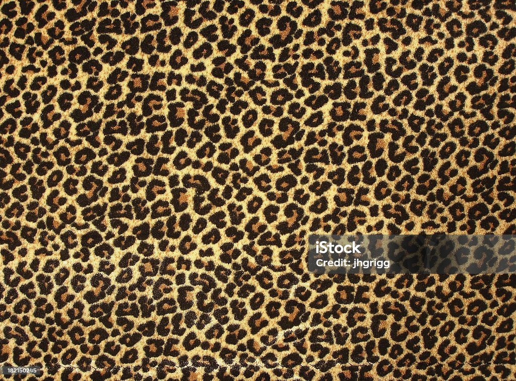 Piel de leopardo 2 - Foto de stock de Patrones visuales libre de derechos