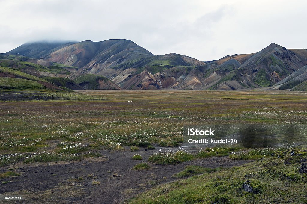 Südwest-Island-Landmannalaugar - Foto de stock de Aire libre libre de derechos