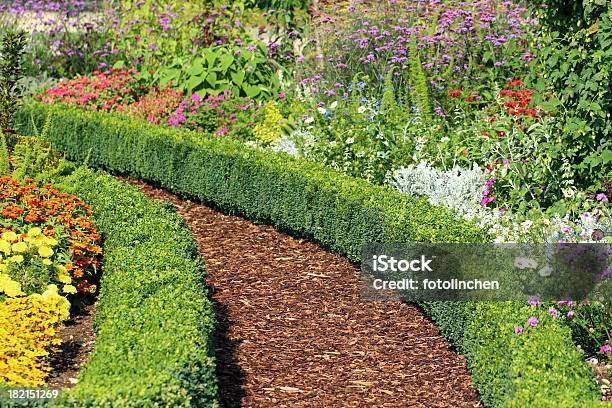Herb And Flower Garden Stock Photo - Download Image Now - Hedge, Yard - Grounds, Boxwood