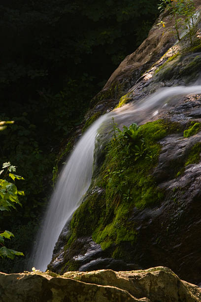 ciemny puste falls na droga skyline drive, park narodowy shenandoah - shenandoah river valley zdjęcia i obrazy z banku zdjęć