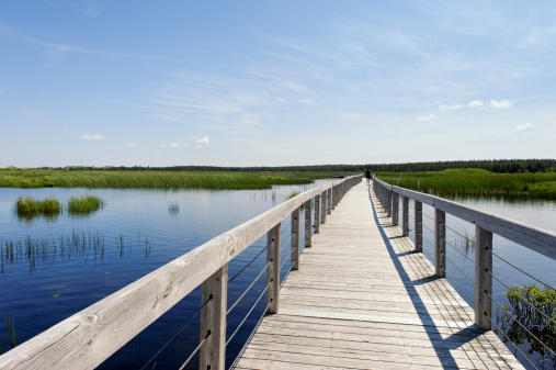 Beautiful landscape with boardwalk over the  Bowley Pond along the Greenwich Dunes Trail, Prince Edward Island National Park,Prince Edward Island , Canada.