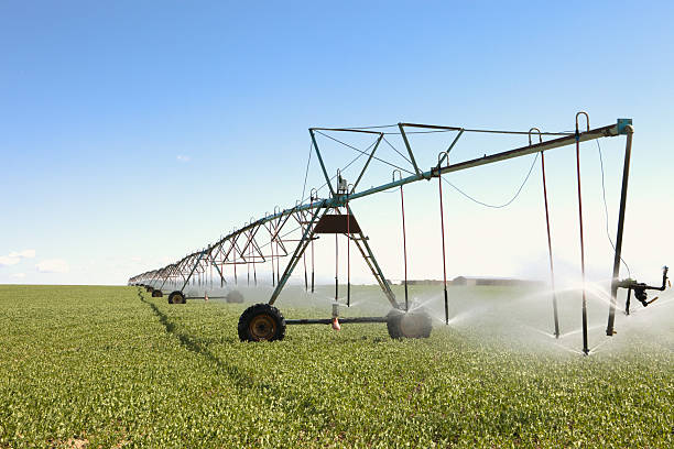 istock Crop Irrigation Equipment Field Farm Agriculture 182151410