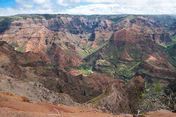 istock Waimea Canyon National Park 182151702