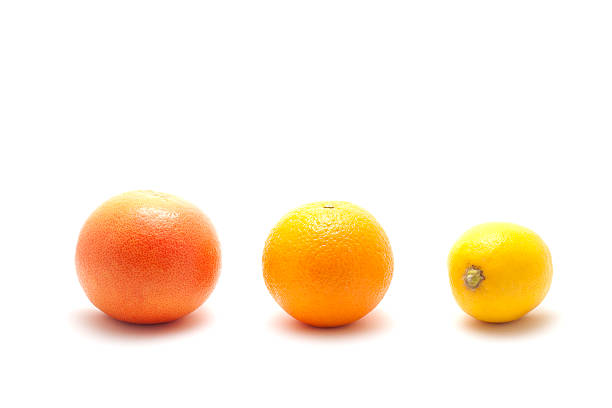 citrus fruits stock photo