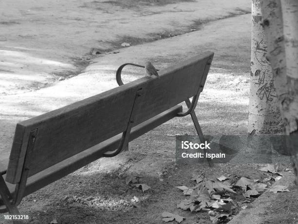 Photo libre de droit de Scène Banc De banque d'images et plus d'images libres de droit de Arbre - Arbre, Banc, Couleur noire