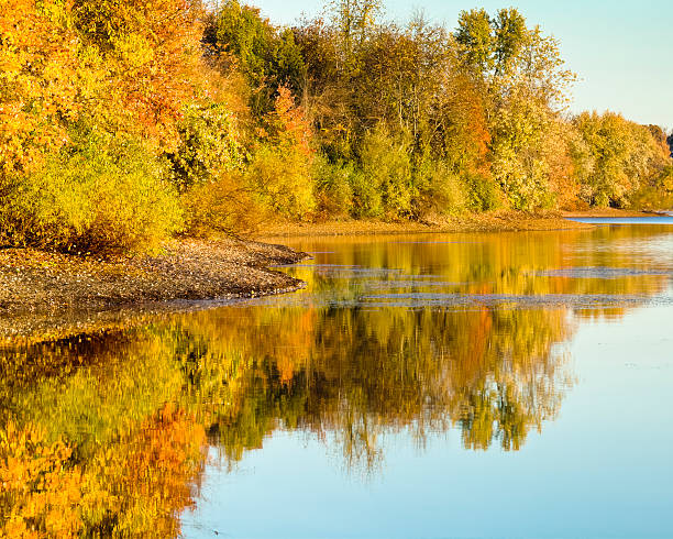 istock Autumn Reflection on a Calm Lake 182153222