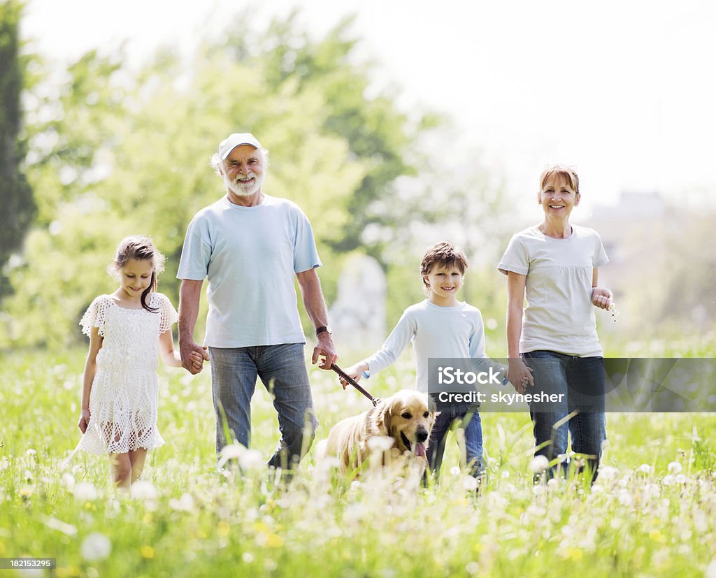 Abuelos y nietos relajante en el parque. - Foto de stock de Familia libre de derechos