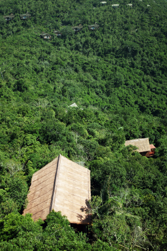 The aerial view of a big house during forest