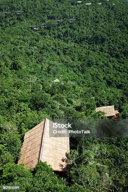 Floresta Casaxxg - Fotografias de stock e mais imagens de Acima - Acima, Admirar a Vista, Ajardinado