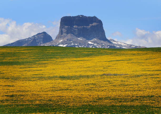 istock Chief Mountain, Babb, Montana 1821537288