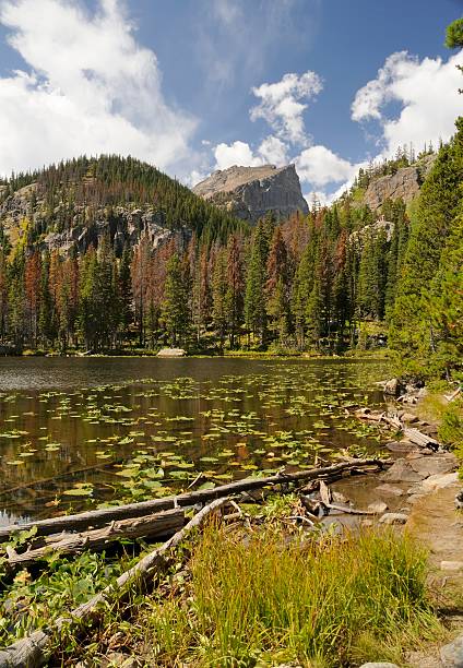 Rocky Mountain National Park "The Rocky Mountain National Park outside of Estes Park, Colorado..To see some of my personal favorites, please visit my lightbox." lily lake rocky mountains colorado stock pictures, royalty-free photos & images
