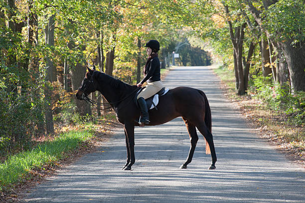 garota de equitação cavalo puro-sangue - white purebred horse riding sports traditional sport - fotografias e filmes do acervo