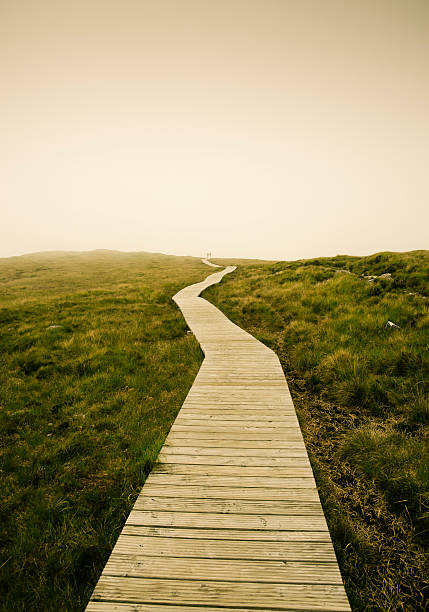 Walkers in the mist Two unknown man coming out of mist walking on a long boardwalk. Toned image.See also other Ireland shots connemara national park stock pictures, royalty-free photos & images