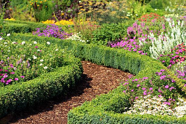 istock Herb and flower garden 182154673