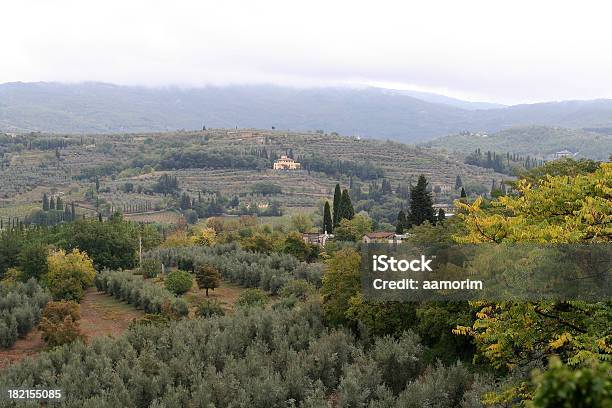 Tuscan Paisagem - Fotografias de stock e mais imagens de Cena Rural - Cena Rural, Cipreste, Cipreste Italiano