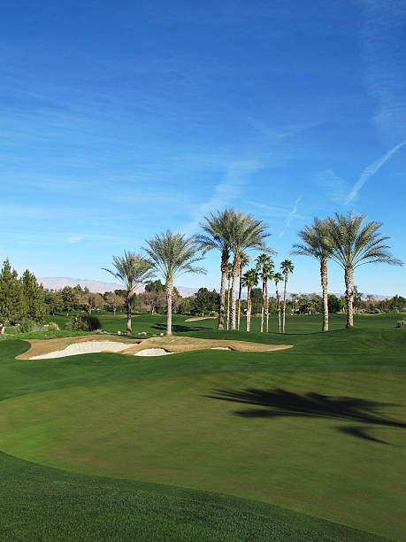 istock Lush green golf course in the Palm Springs desert 182155721