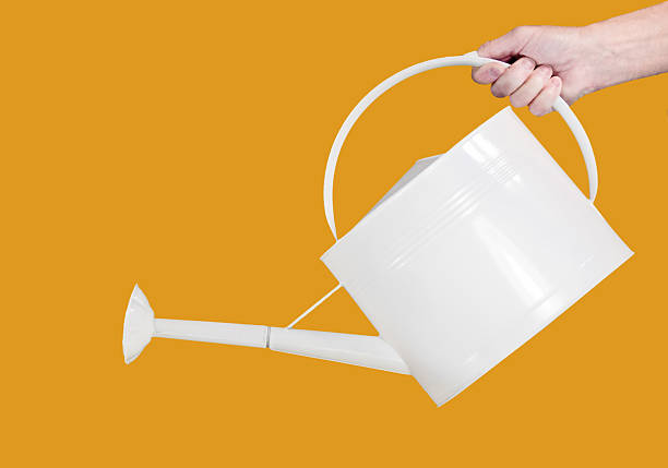 istock Hand held a watering can against a dark yellow background 182155972