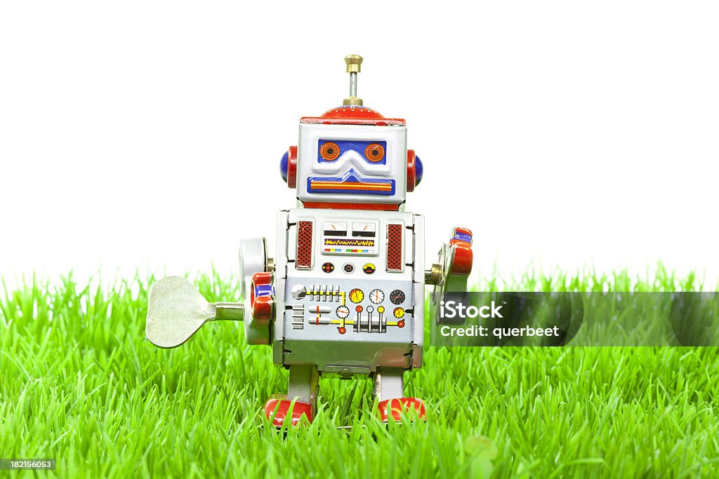 retro Zinn Spielzeug-Roboter stehen auf Gras - Lizenzfrei Roboter Stock-Foto