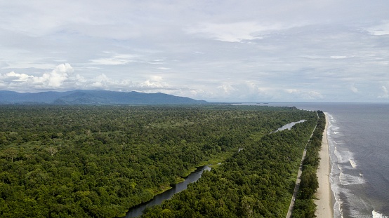 Aerial image of lowland forest in southern Aceh, Indonesia.