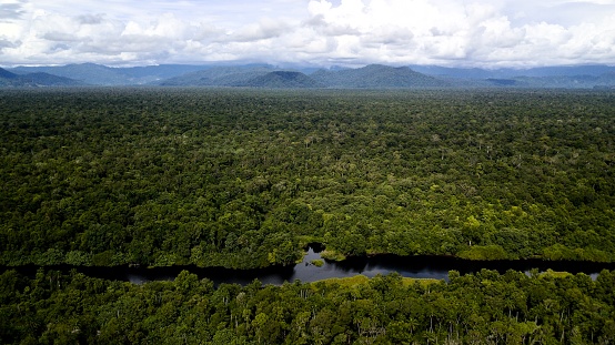 Aerial image of lowland forest in southern Aceh, Indonesia.