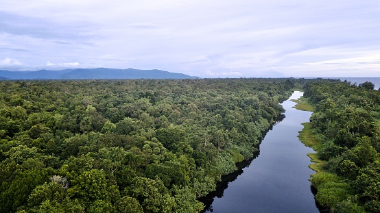 Aerial image of lowland forest in southern Aceh, Indonesia.