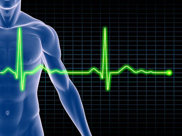 男性の体に重ね、心電図(electrocardiogram ） - human muscle the human body people muscular build ストックフォトと画像
