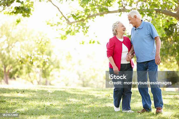 선임 Couple In Park 노인에 대한 스톡 사진 및 기타 이미지 - 노인, 걷기, 야외