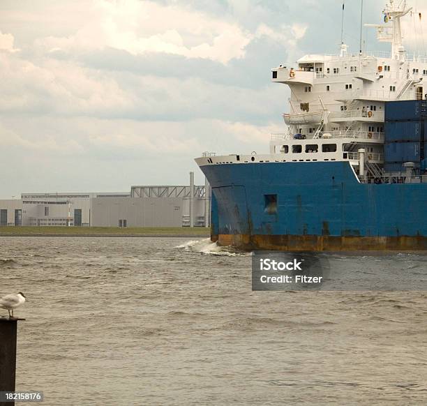 Big Blue Stock Photo - Download Image Now - Ahoy Center Rotterdam, Animal, Awe