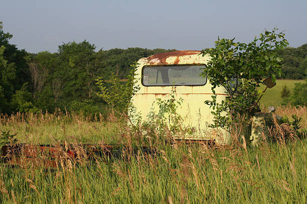 istock Old Green Truck in Pasture 182158499