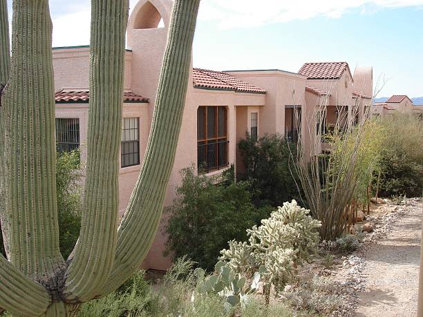 istock Arizona condominum and cactus 182159382