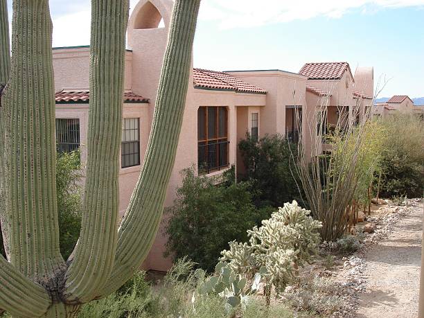 Arizona condominum and cactus stock photo