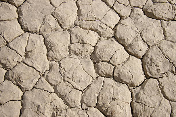 Dry cracked desert mud stock photo