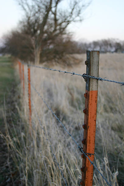 fencerow d'hiver - winter wire barbed wire protection photos et images de collection