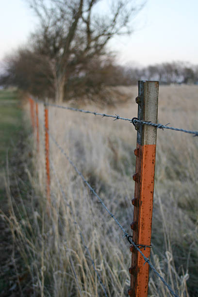 겨울맞이 fencerow - barbed wire rural scene wooden post fence 뉴스 사진 이미지